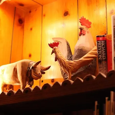 Otel Perruquet 3 Stelle Superior 3*