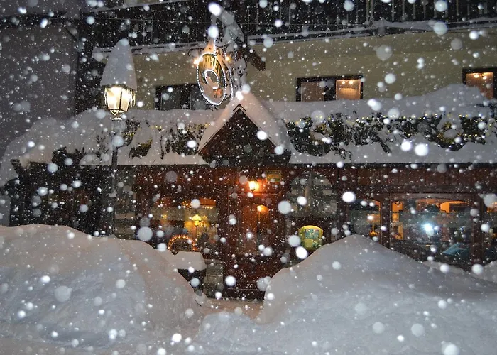 Otel Perruquet 3 Stelle Superior 3*